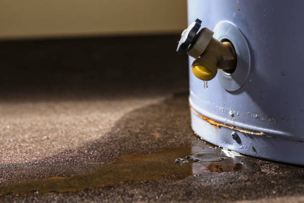 Best Water damage restoration near me  in Munising, MI