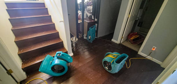 Best Water damage cleanup near me  in Munising, MI
