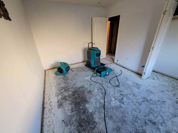 Best Residential water damage restoration  in Munising, MI