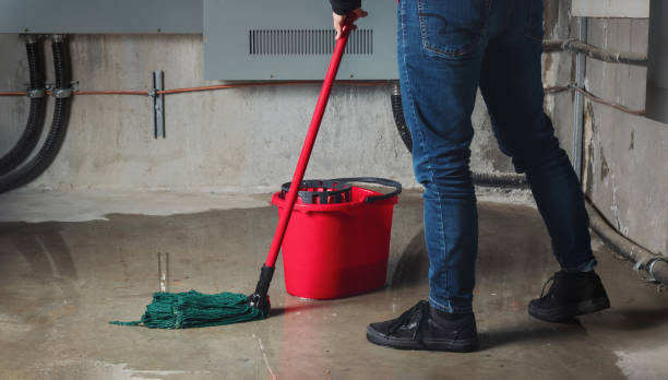 Best Basement water damage restoration  in Munising, MI
