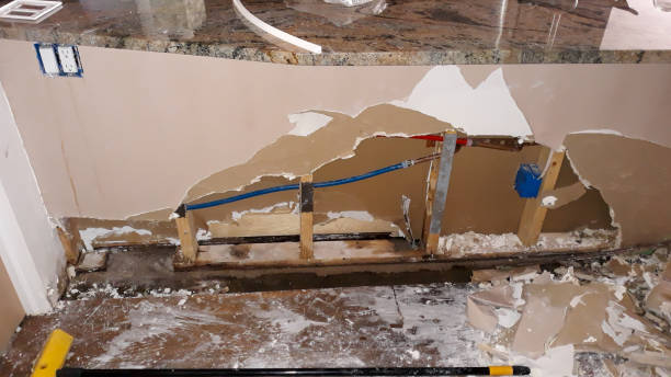Best Professional water damage repair  in Munising, MI