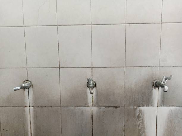 Water damage restoration process in Munising, MI