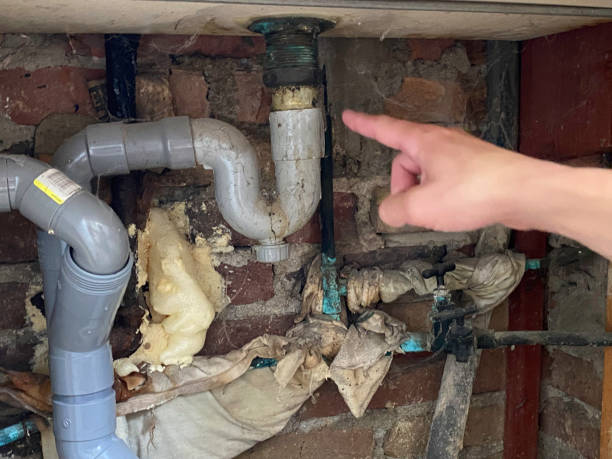 Best Flood damage cleanup  in Munising, MI